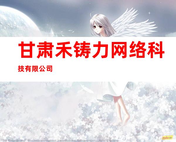 甘肃禾铸力网络科技有限公司